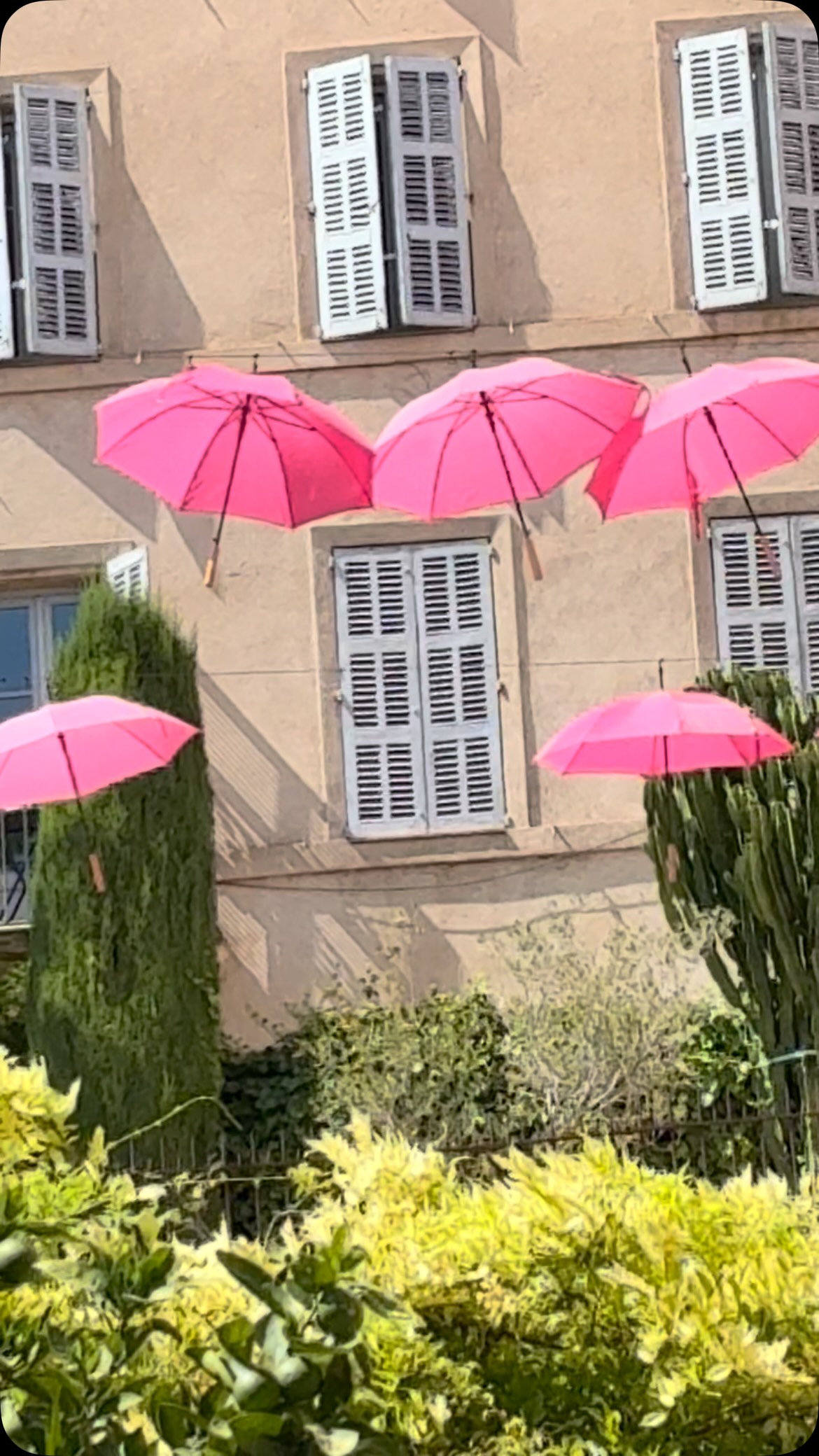 Vive la pluie 😎 Artiti prépare activement les 2 expos de la rentrée de septembre ! Sophie Moisan et Miguel Nùñez Rauschert. A bientôt ! #artiti #sophiemoisan #miguelnunezrauschert #artcontemporain